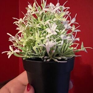 Artificial Green and White Potted Plant